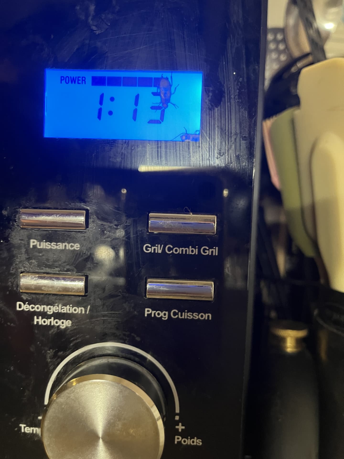 Microwave control panel showing 1:13 with two cockroaches on the display